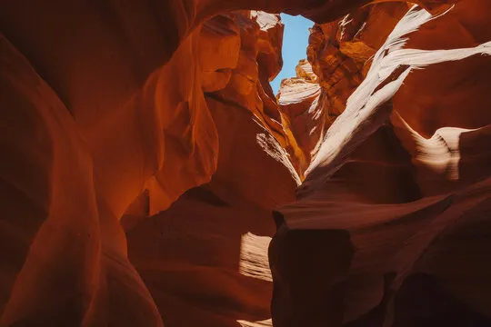 杏鑫娱乐 的故事